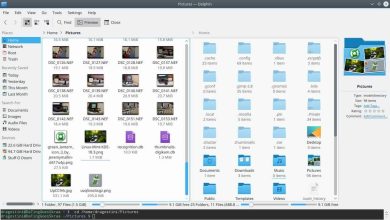 Dolphin file manager Windows