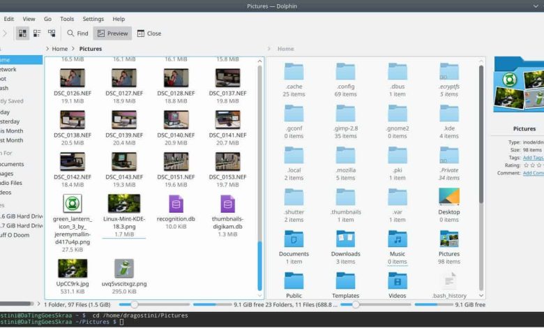Dolphin file manager Windows