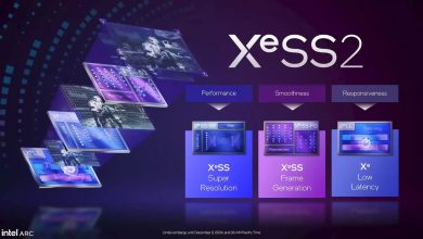 Intel XeSS MFG